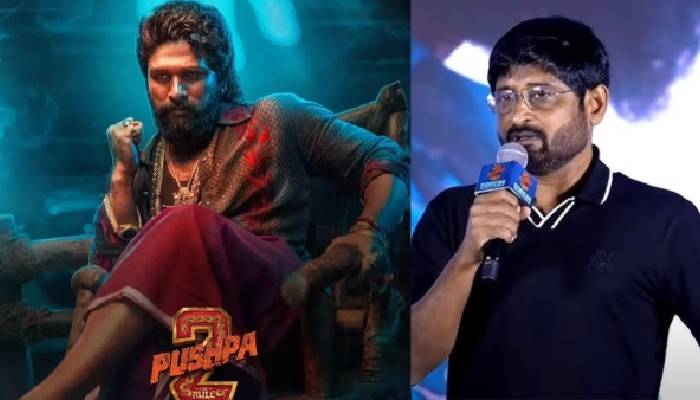 Pushpa  3 को लेकर बड़ा अपडेट आया सामने, जानिए कब रिलीज़ होगी फिल्म ?