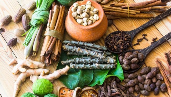 हर साल 23 सितंबर को मनाया जाएगा आयुर्वेद दिवस | आयुर्वेदिक चिकित्सा का अब बढ़ रहा चलन