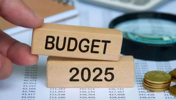 Budget 2025-2026: इनकम टैक्स में मिलेगी छूट! जानिए मोदी सरकार का पूरा प्लान