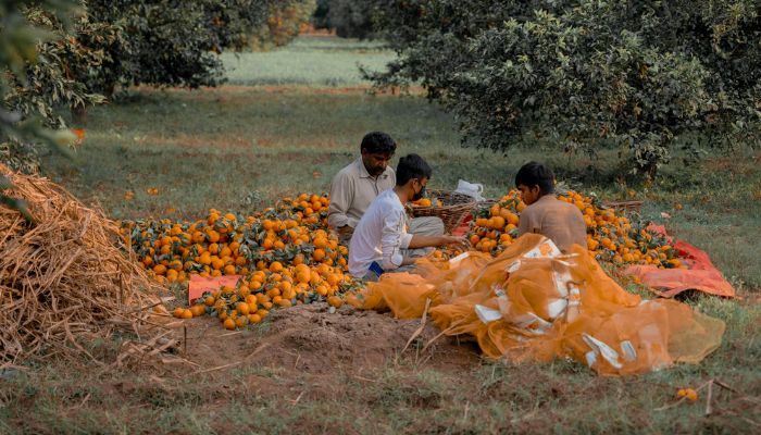 करोड़ों किसानों का इंतजार हुआ खत्म, इस तारीख को खाते में आएंगे डायरेक्ट 4000 रुपये