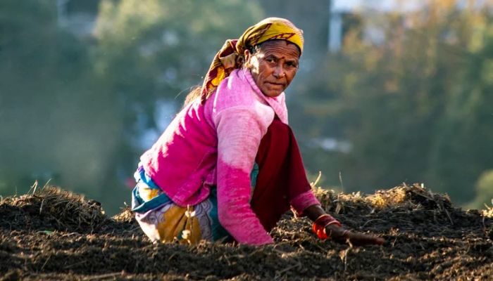 PM Kisan Yojana: किसान योजना के इन नियमों में हुआ बदलाव! क्या अटक जाएंगे 2000 रूपये? जानें