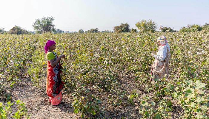 बागवानी विकास में बिहार की बड़ी छलांग, जल संरक्षण की राह पर राज्य