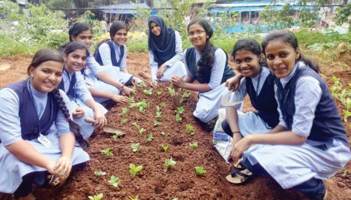 बेटियां करेंगी खेतों की पढ़ाई, सरकार देगी हर साल 25 हजार रुपये!