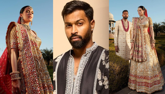 तलाक के बाद Hardik ने Natasa से फिर किया प्यार का इज़हार !