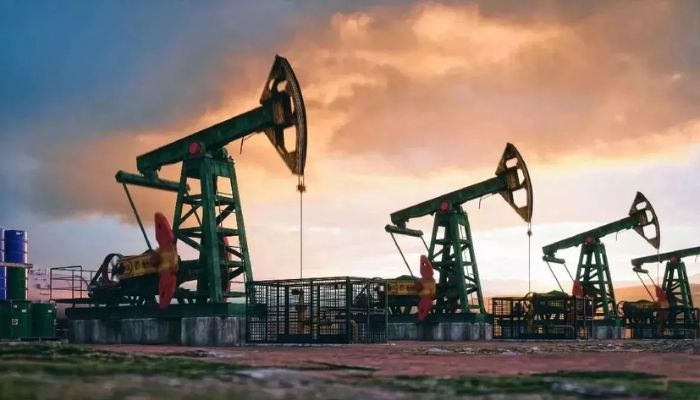 ऑयल सेक्टर में क्रांति: भारत 10 अरब डॉलर में खरीदेगा 112 टैंकर, अब विदेशी कंट्रोल खत्म!