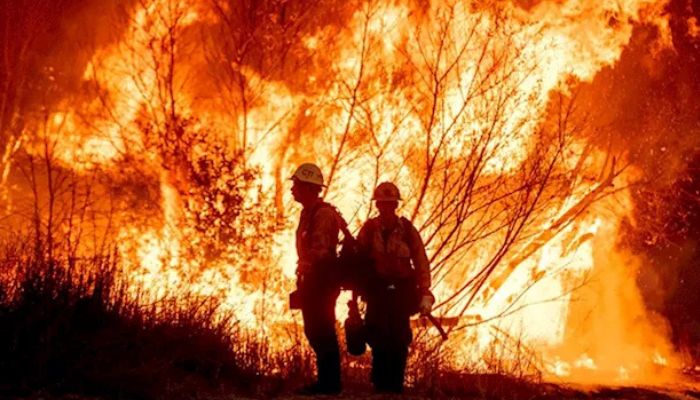 लॉस एंजिल्स फायर में 16 लोगों की मौत की हुई पुष्टि, 12,000 से अधिक इमारतों को नुकसान
