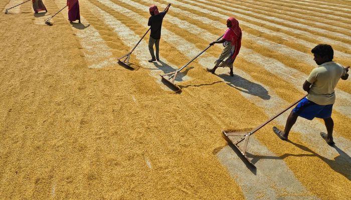 20वीं किस्त की तारीख का खुलासा, जानें किन किसानों को मिलेगा किसान सम्मान निधि का लाभ