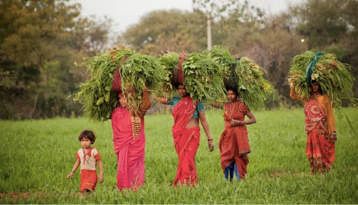लाडली बहन योजना से महिलाओं को मिलेगा 3000 रुपये तक का लाभ, आवेदन प्रक्रिया शुरू!