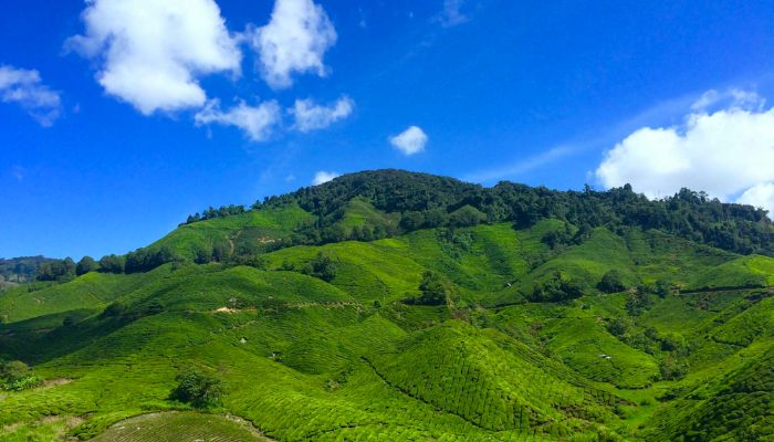 IRCTC Mizoram Tour: मिजोरम में बनाएं अपनी हॉलीडेज को शानदार, आइए जानें क्या है इस पैकेज में ख़ास