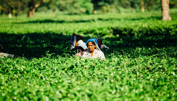 PM Kisan Yojana में क़िस्त आने से पहले करना होगा ये काम, सरकार ने जारी किया नया नियम