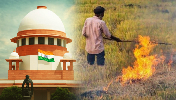 सुप्रीम कोर्ट के आदेश के बाद केंद्र सरकार ने डबल की पेनाल्टी ! पराली जलाने पर 30 हजार रूपये तक लगेगा जुर्माना !