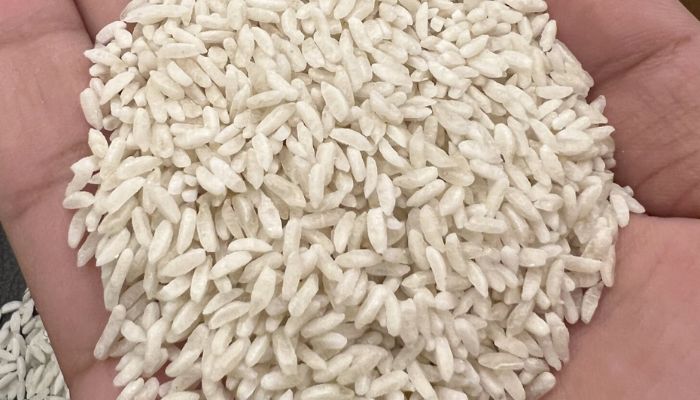 Fortified Rice: सरकार मुफ्त में बांट रही है ये पोषक तत्व वाला चावल, गर्भवती महिलाओं के लिए ये है बेहद है खास राइस