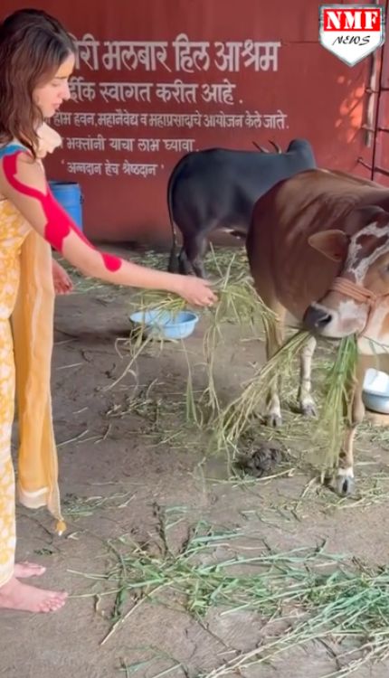 भगवान शिव की भक्ति में डूबी अनन्या पांडे, की 'गौ सेवा', वीडियो वायरल
