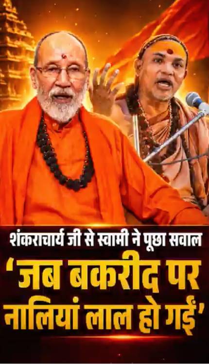 ‘शंकराचार्य अविमुक्तेश्वरानंद जी तब चुप क्यों थे’… स्वामी जी का छलका दर्द पूछा सनातनी सवाल!