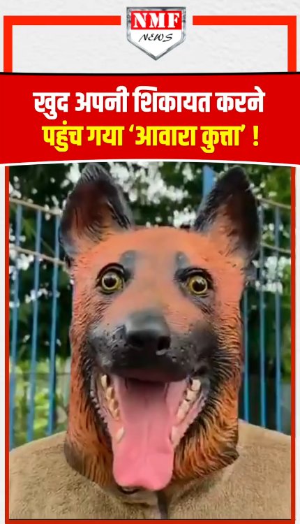 अधिकारी के सामने खुद अपनी शिकायत करने पहुंच गया ‘आवारा कुत्ता’