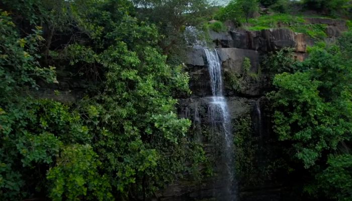 जहां कभी बागी छुपा करते थे, वो टिकटोली दूमदार ‘चमत्कार’ का गढ़ बना । Morena