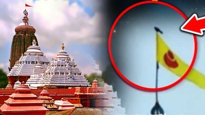 शिखर ध्वज जलने के बाद गरुड़ की दस्तक, जगन्नाथ धाम से शुभ-अशुभ संकेत?