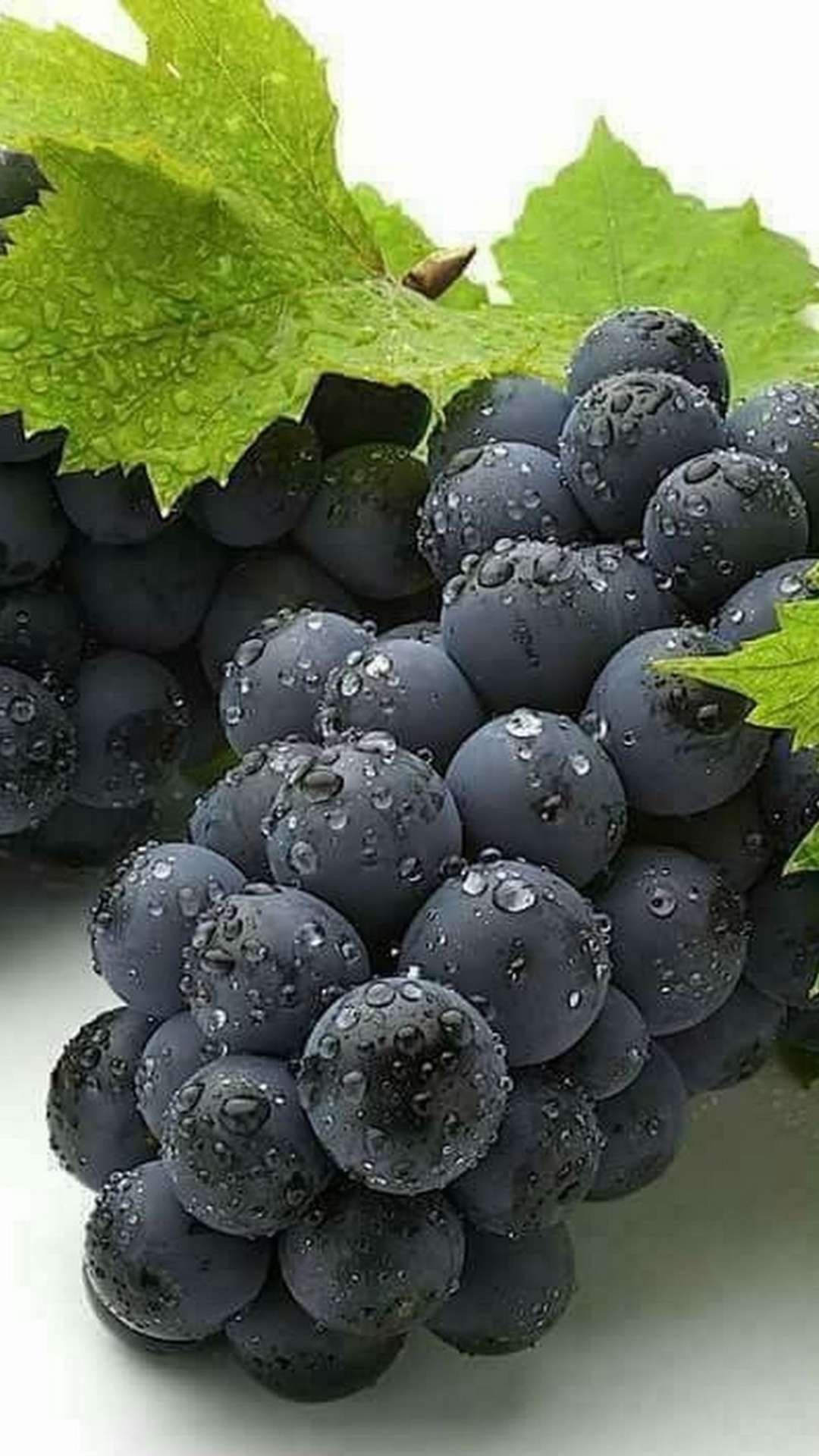 जामुन का सिरका पीने के 6 चौंकाने वाले फायदे, जो बदल देंगे आपकी सेहत