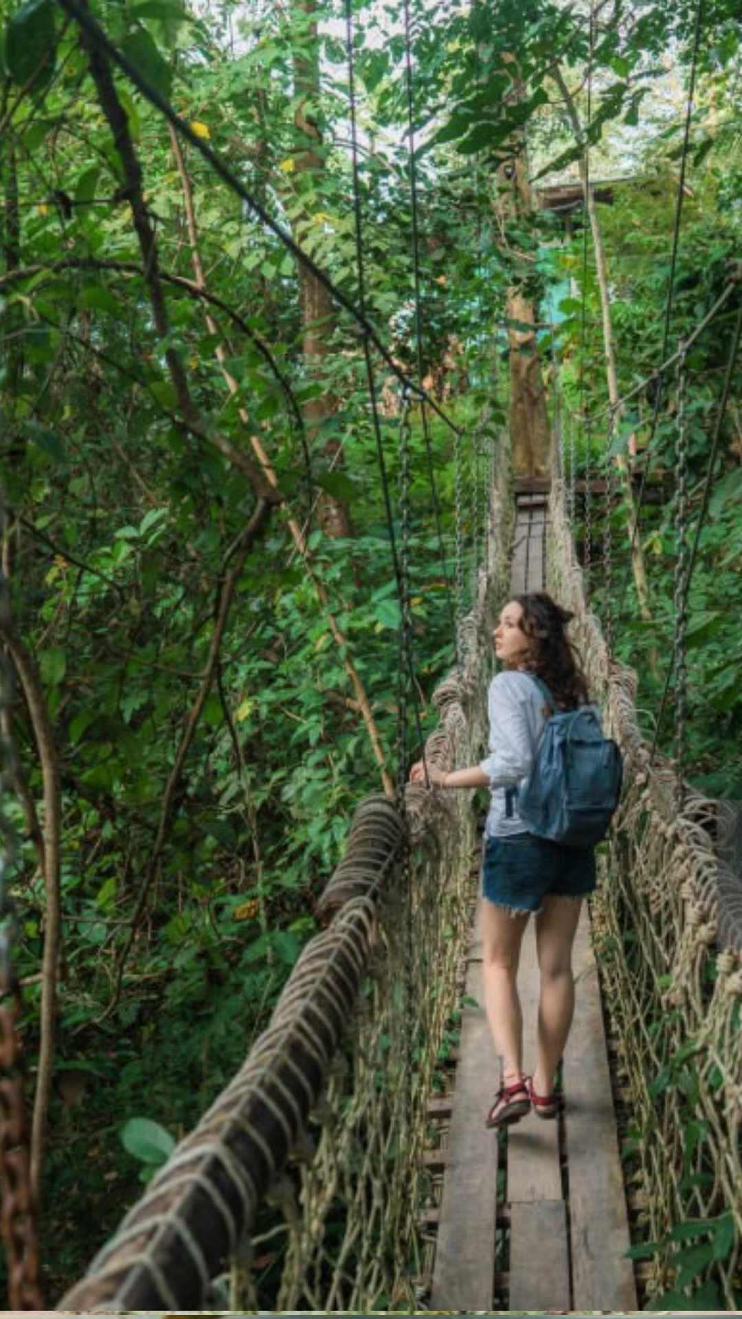 दोस्तों संग मॉनसून में उठाएं हैं इन Jungle Safari का लुत्फ, स्ट्रेस हो जाएगा छूमंतर