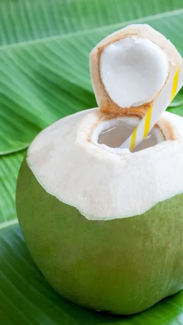 नारियल पानी पीने से शरीर को होते हैं ये 6 फायदे, हृदय से लेकर वजन घटाने में भी मददगार