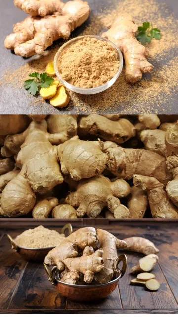 चर्बी घटाने से लेकर डायबिटीज तक, हर परेशानी का इलाज है अदरक