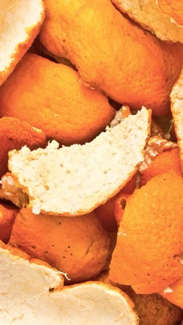 दिल से लेकर डायबिटीज तक, संतरे के छिलके का सेवन करने से दूर होंगी ये 6 परेशानियां