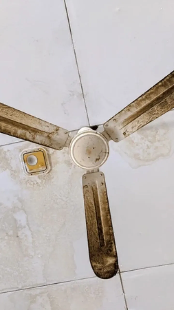 सीढ़ी के झंझट के बिना अपने घर के पंखे को मिनटों में चमकदार और गंदगी मुक्त बनाने का आसान तरीका