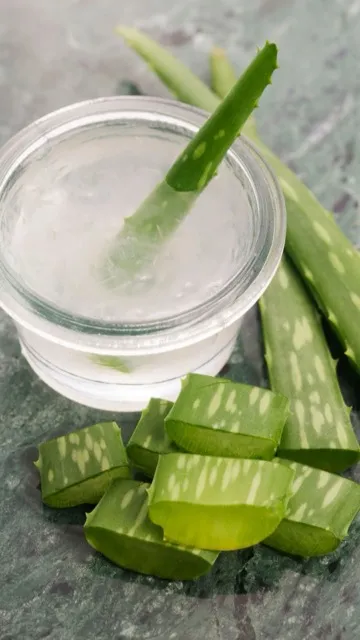 वजन घटाने से डायबिटीज कंट्रोल करने तक, एलोवेरा के 7 फायदे जानकर चौंक जाएंगे आप