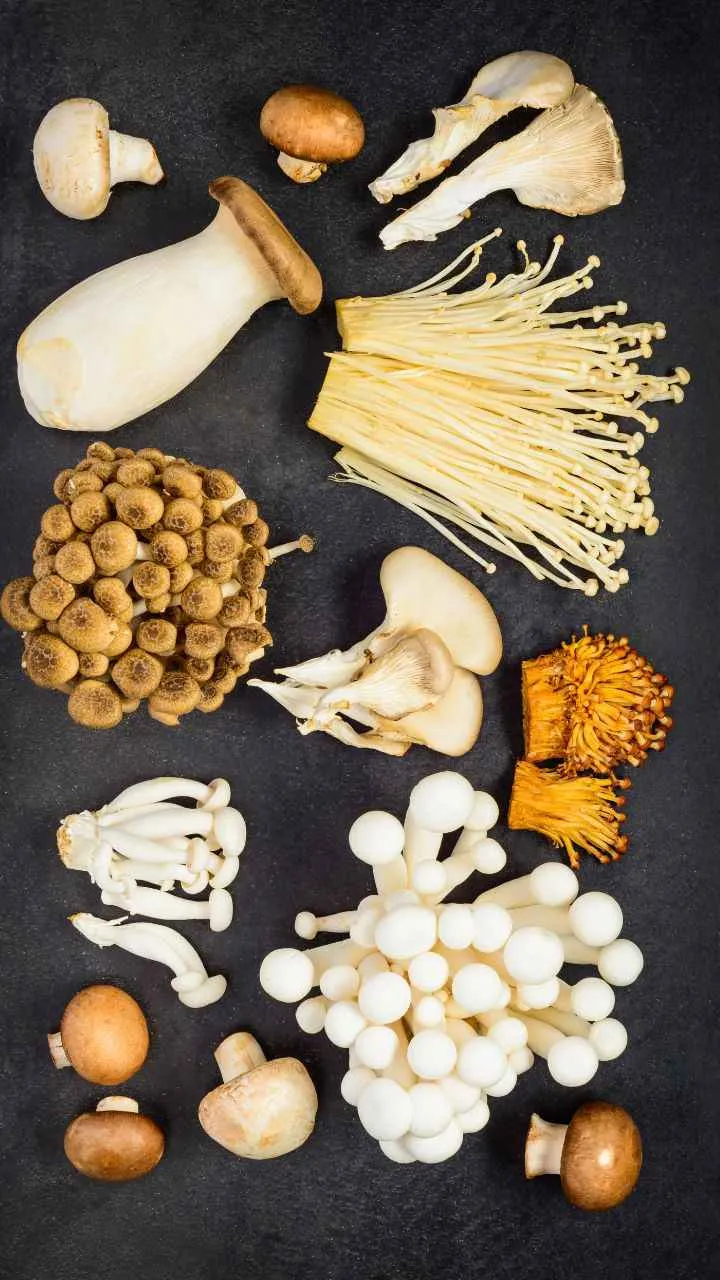 डिनर पार्टी में डालें टेस्ट का तड़का, ट्राई करें ये यूनिक मशरूम रेसिपी आइडियाज