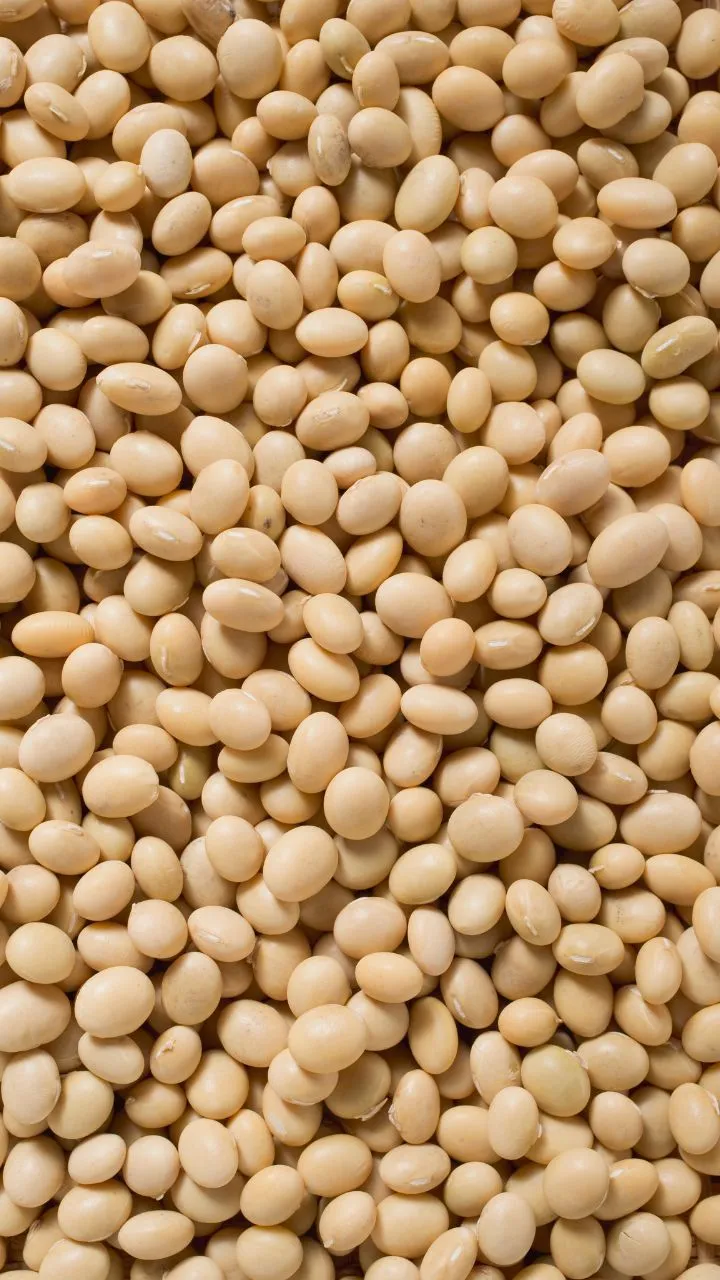 ये छोटी सी बड़ी तेजी से घटाएगी आपकी चर्बी, बस जान ले इसे बनाने की सही विधि