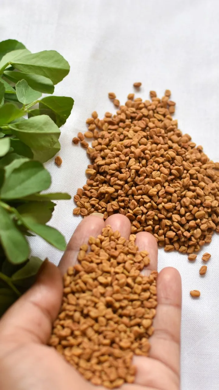 ये सुनहरा सा दिखने वाला दाना पेट की चर्बी घटाने में असरदार, अगर इस तरह से बनाकर करेंगे सेवन