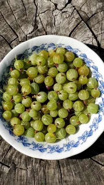 बाल होंगे मज़बूत, त्वचा रहेगी चमत्कार, अगर इस तरह से करेंगे आंवले के जल का सेवन