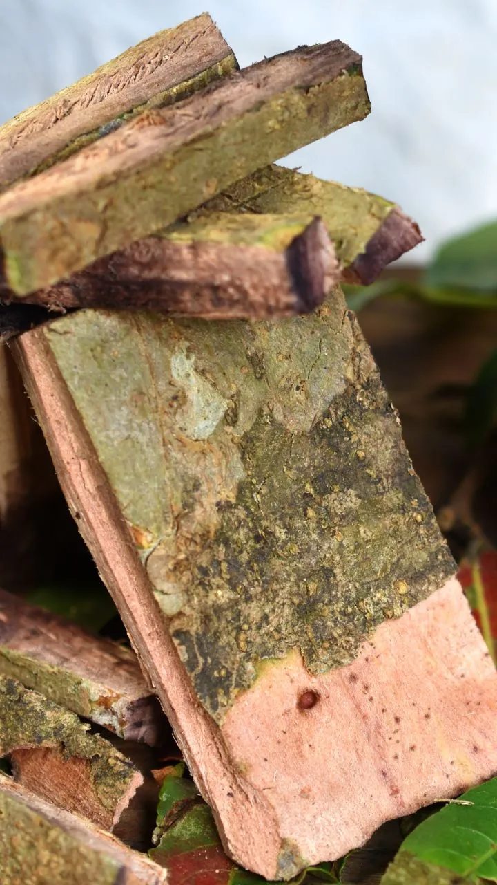 लकड़ी की तरह दिखने वाली ये चीज हार्ट अटैक का खतरा करती कम, अगर इस तरह से बनाकर करेंगे सेवन