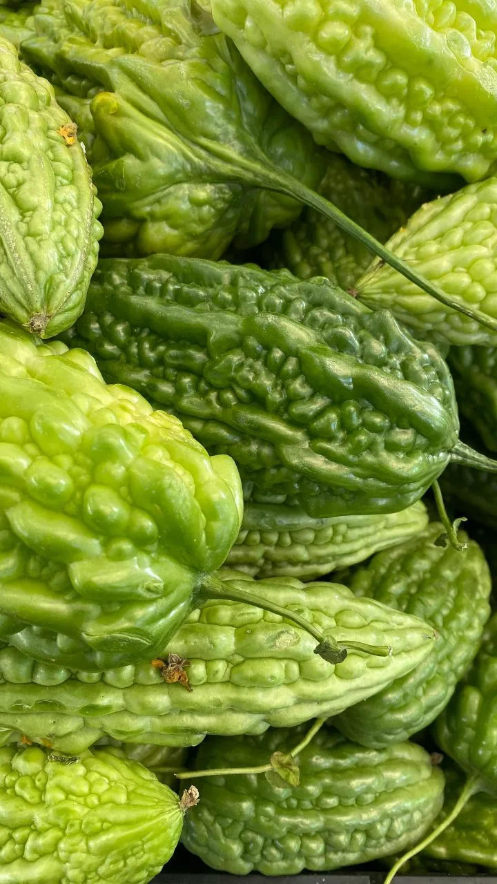 स्वाद में कड़वा, लेकिन वजन घटाने में असरदार करेला, बस जान लें कैसे करें इसका सेवन